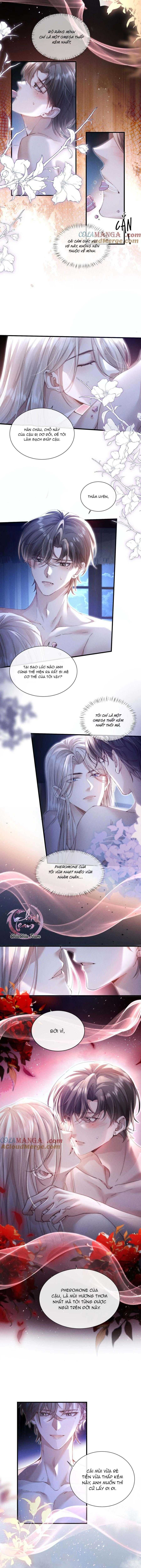 Phép Tắc Nuôi Dưỡng Chó Điên - Chương 34 - Trang 8