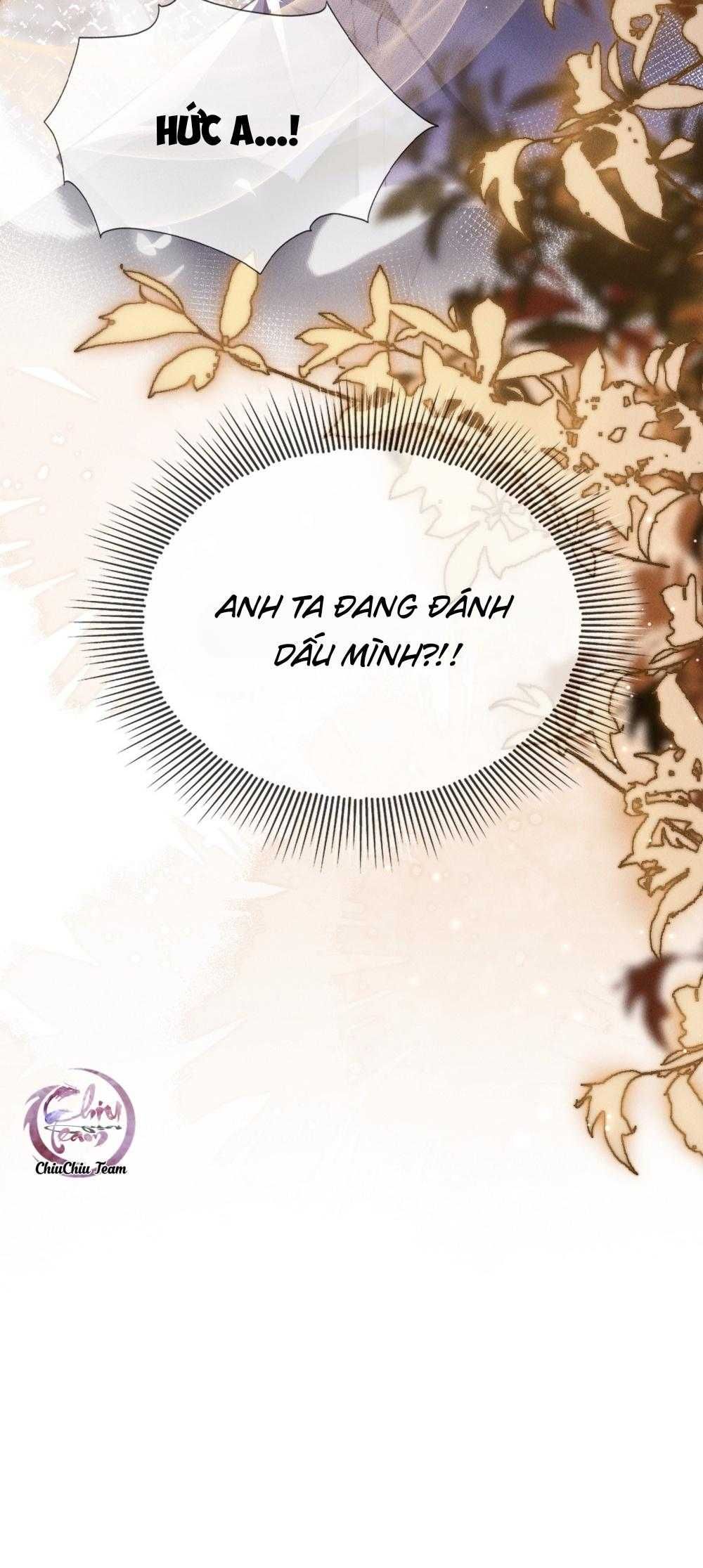 Phép Tắc Nuôi Dưỡng Chó Điên - Chương 6 - Trang 27