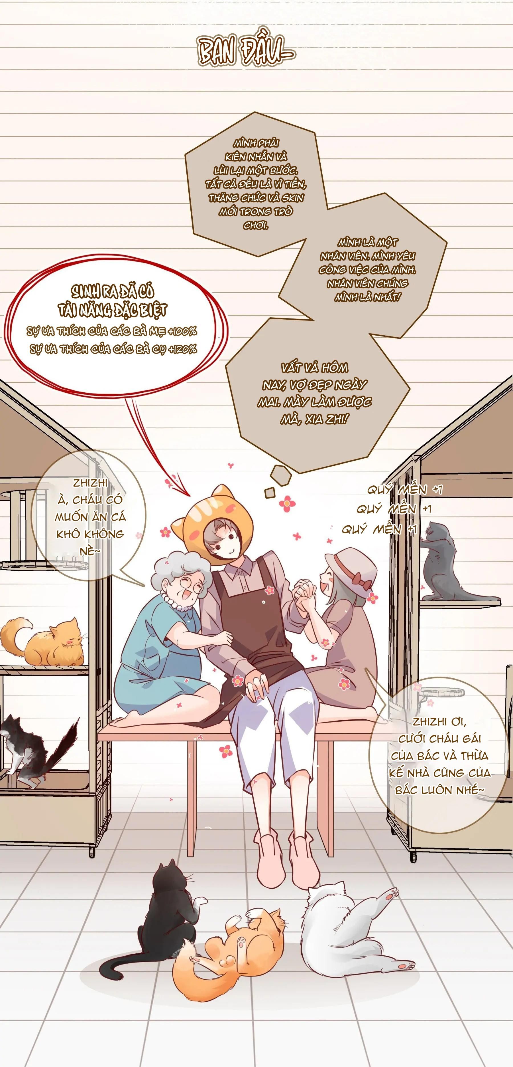 Yêu Em Bất Chấp - Chương 1 - Trang 11