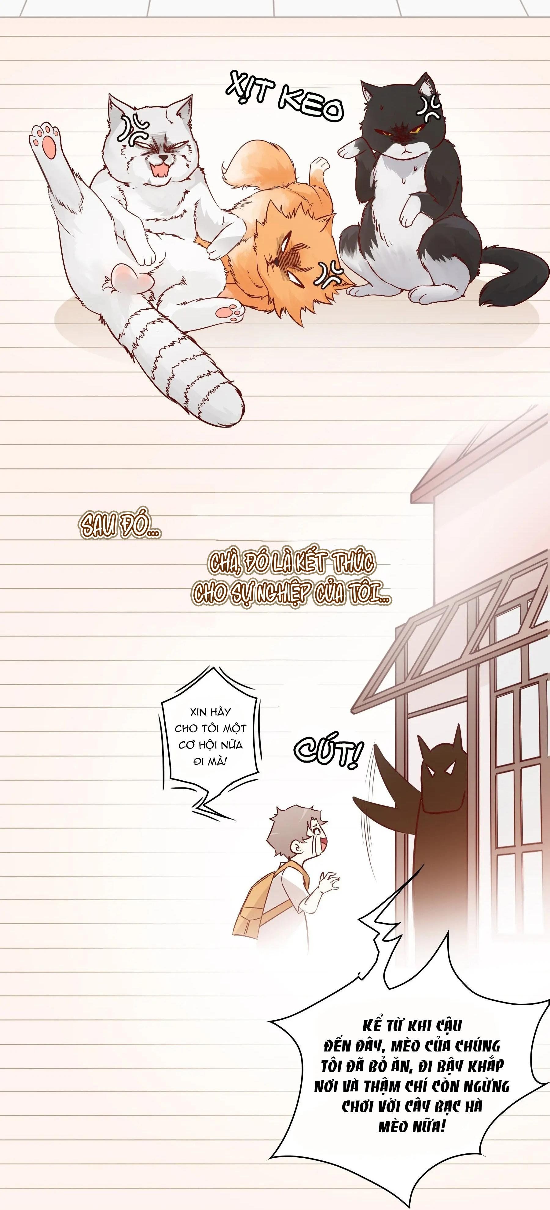 Yêu Em Bất Chấp - Chương 1 - Trang 12