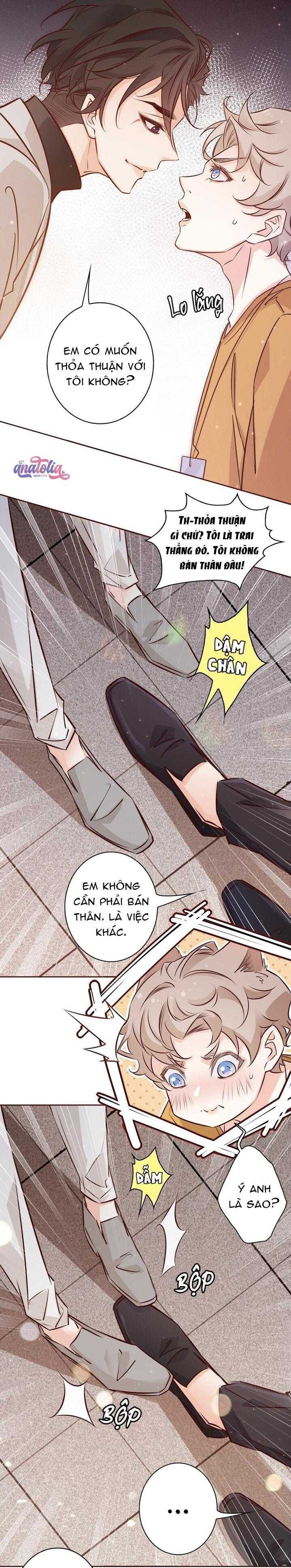 Yêu Em Bất Chấp - Chương 11 - Trang 4