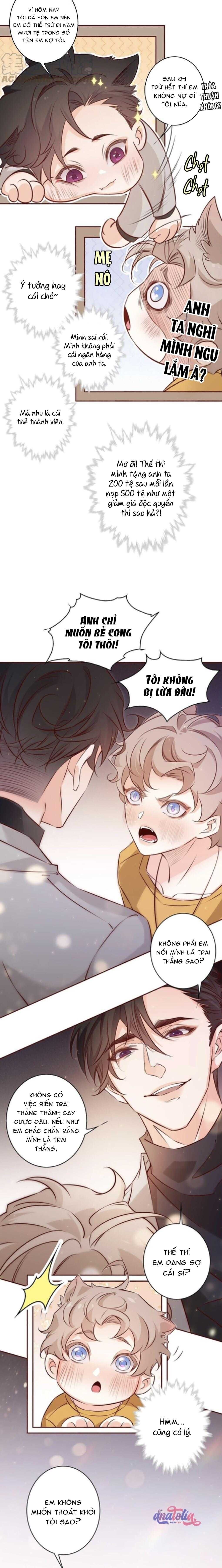 Yêu Em Bất Chấp - Chương 11 - Trang 5