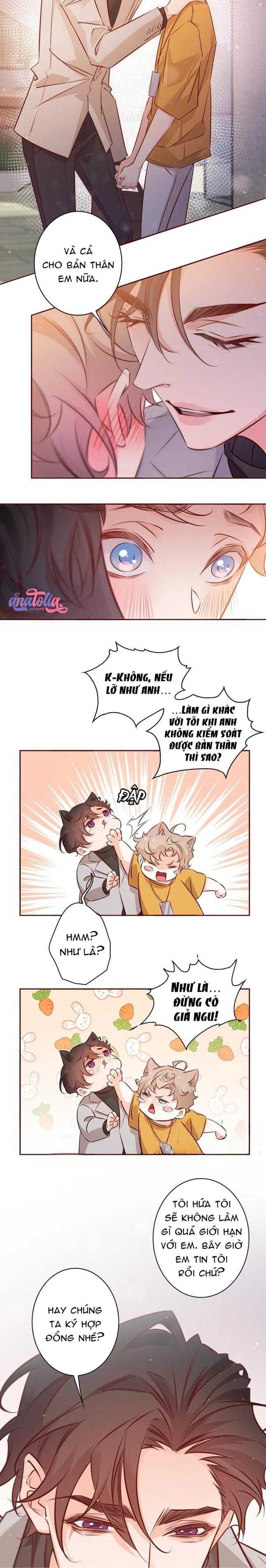 Yêu Em Bất Chấp - Chương 11 - Trang 8