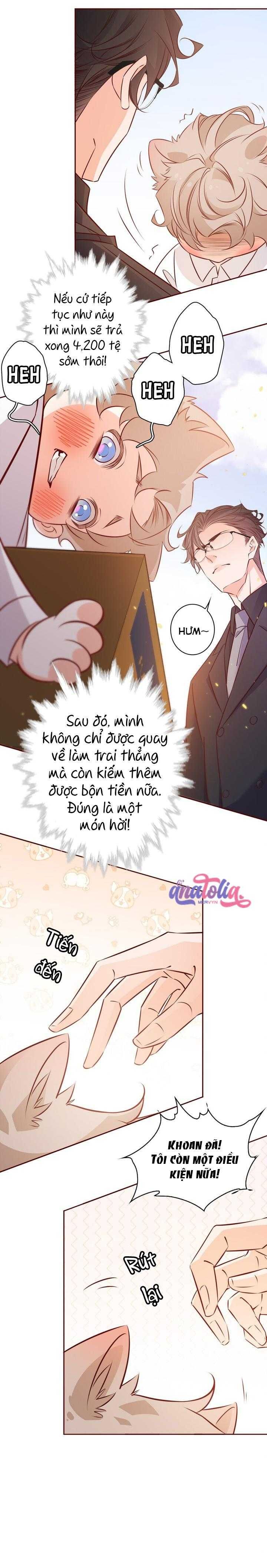 Yêu Em Bất Chấp - Chương 14 - Trang 5