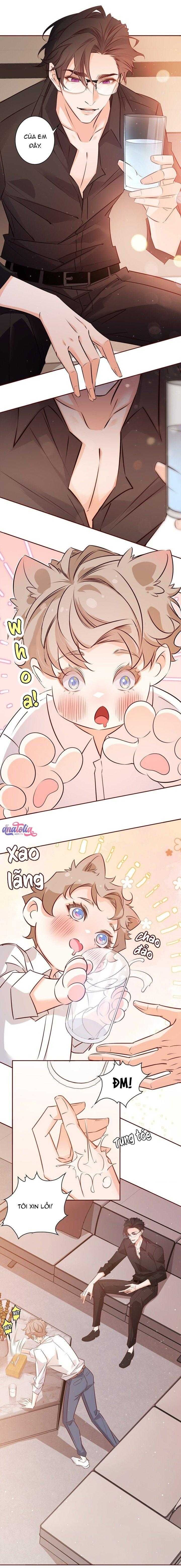 Yêu Em Bất Chấp - Chương 15 - Trang 5