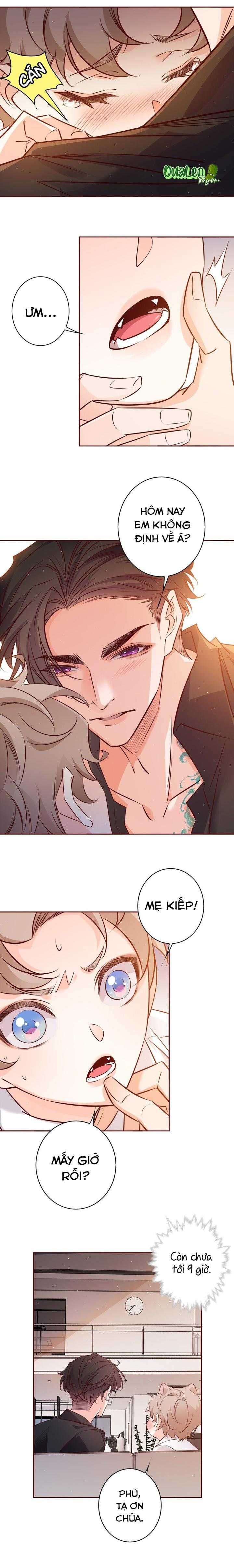 Yêu Em Bất Chấp - Chương 16 - Trang 5