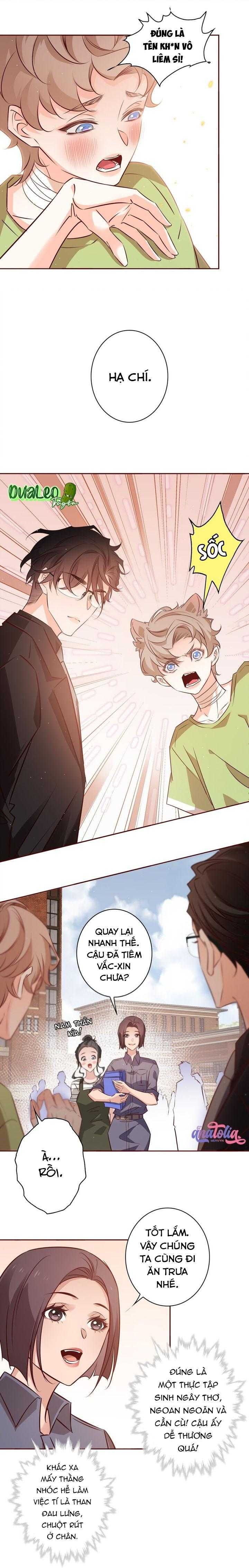 Yêu Em Bất Chấp - Chương 19 - Trang 6