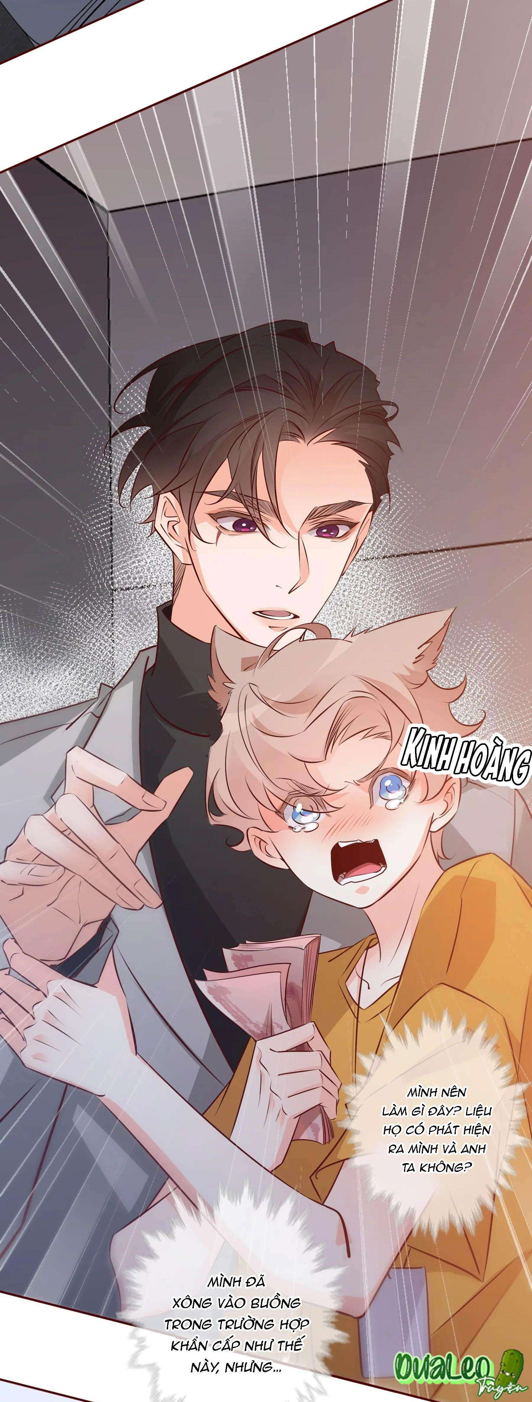 Yêu Em Bất Chấp - Chương 7 - Trang 13