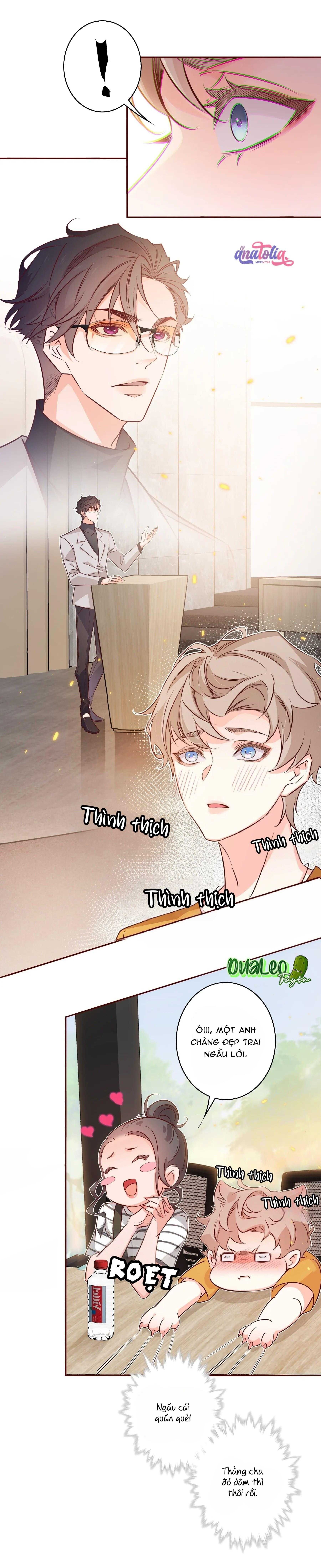 Yêu Em Bất Chấp - Chương 9 - Trang 8