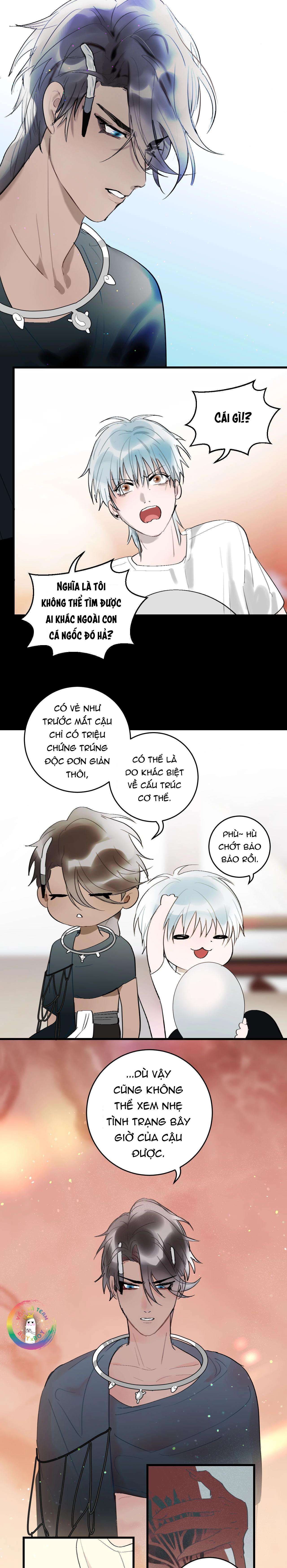 Quanh Năm Có Cá - Chương 10 - Trang 4