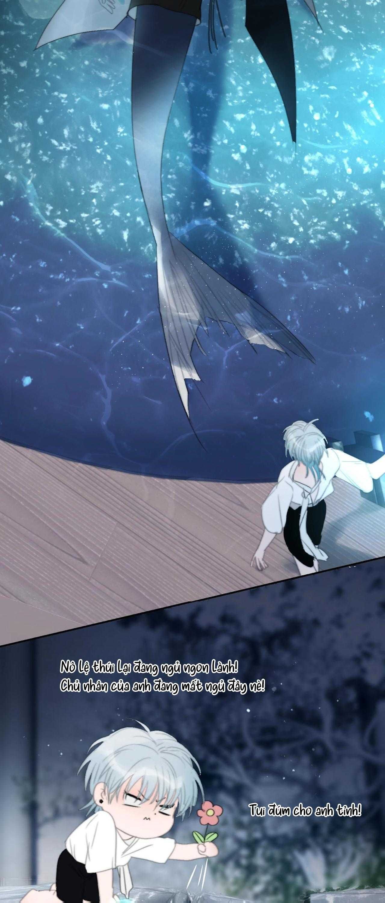 Quanh Năm Có Cá - Chương 21 - Trang 21