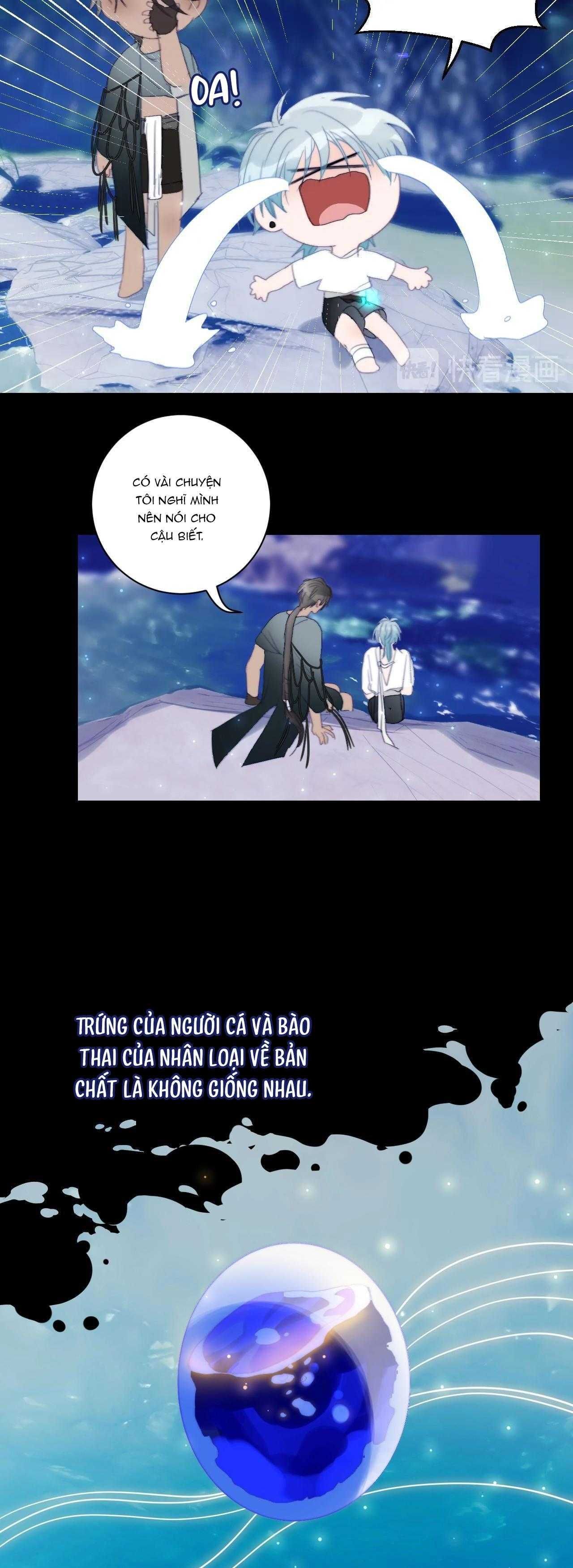 Quanh Năm Có Cá - Chương 23 - Trang 15