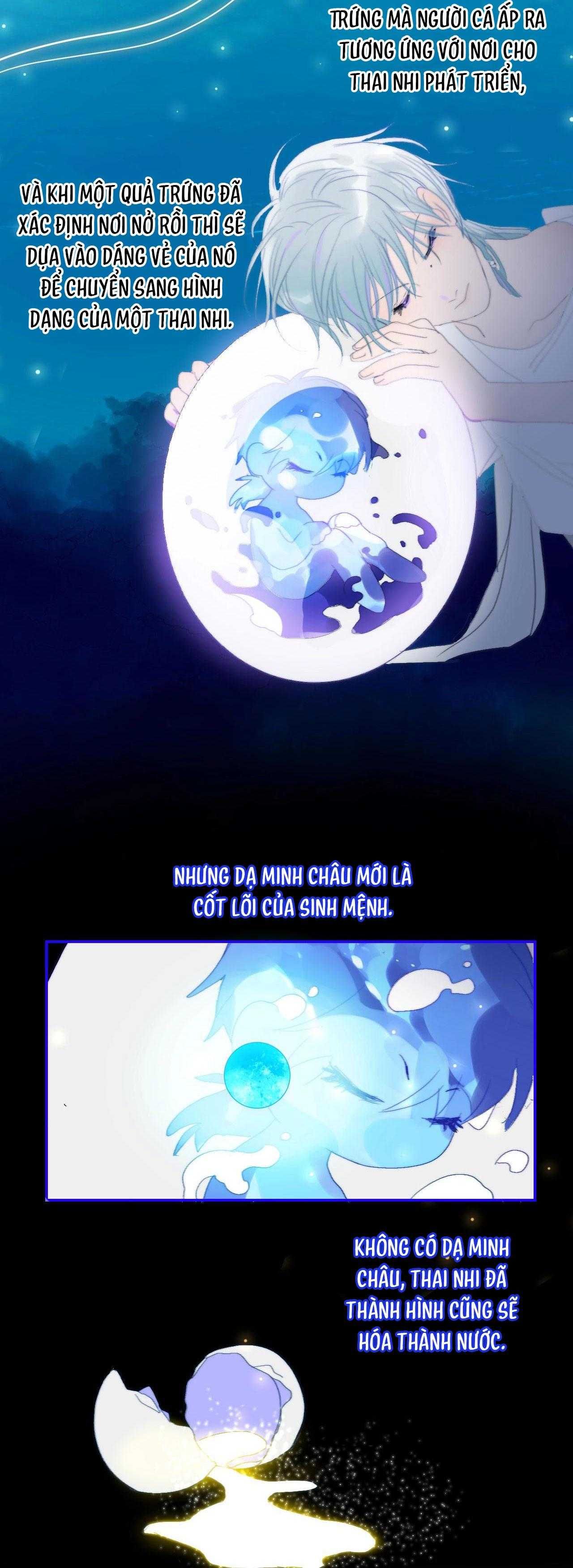 Quanh Năm Có Cá - Chương 23 - Trang 16