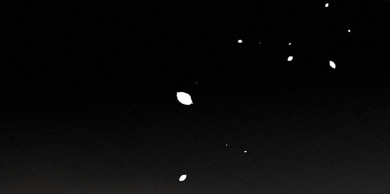 Trỗi Dậy Từ Tro Tàn - Chương 15 - Trang 16