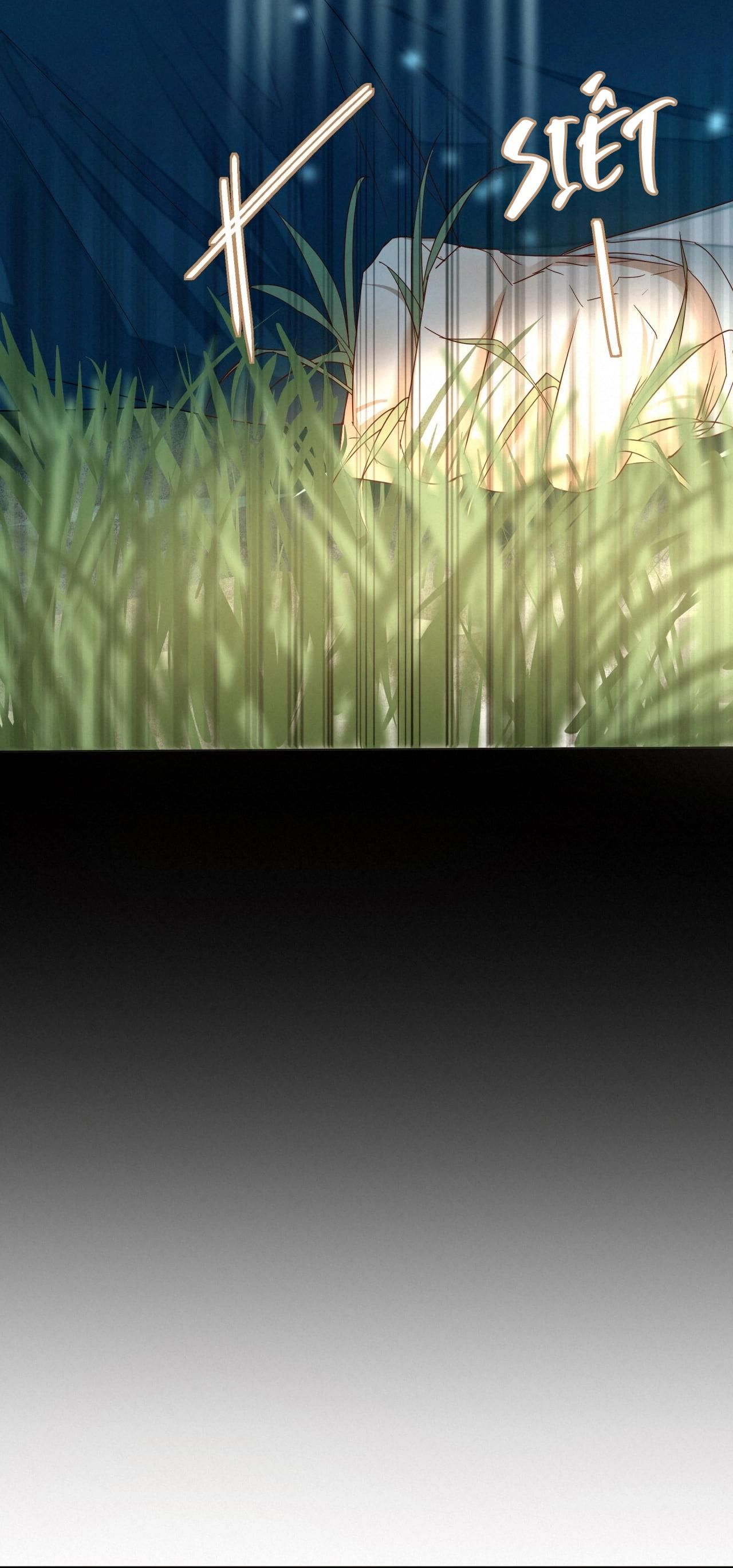 Trỗi Dậy Từ Tro Tàn - Chương 16 - Trang 11