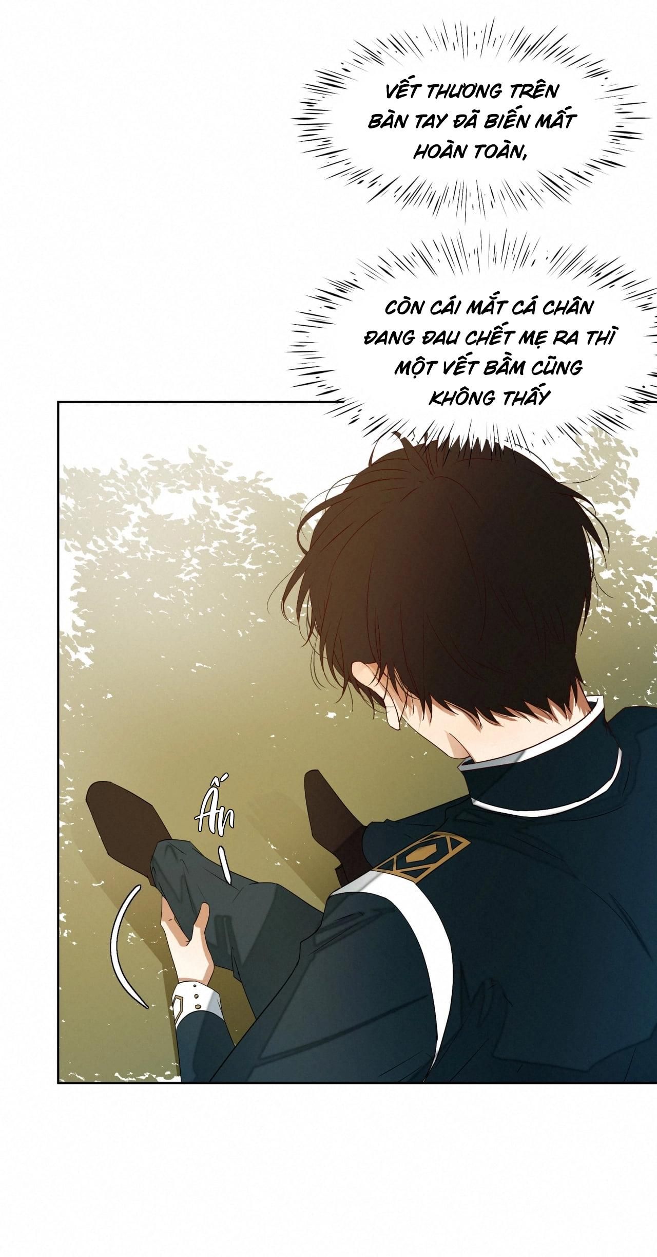 Trỗi Dậy Từ Tro Tàn - Chương 16 - Trang 13