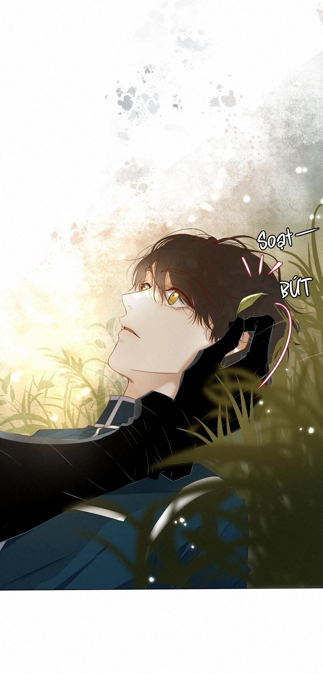 Trỗi Dậy Từ Tro Tàn - Chương 16 - Trang 6