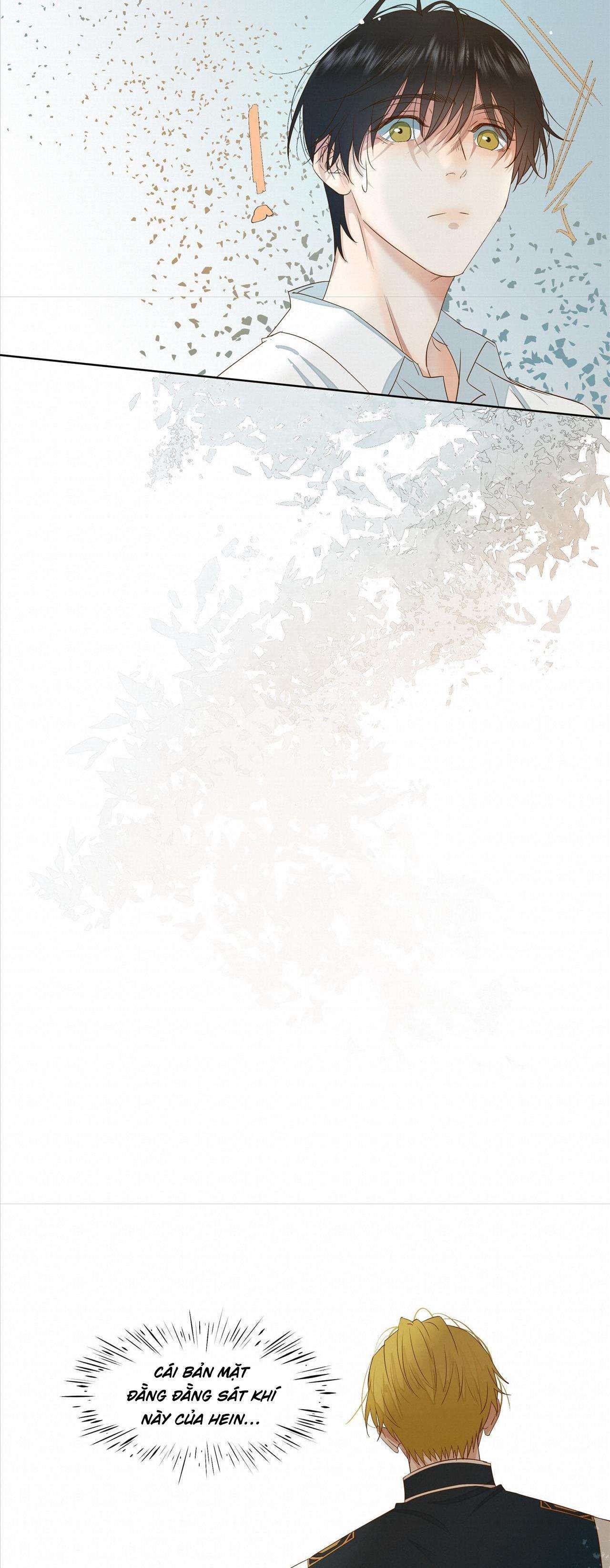 Trỗi Dậy Từ Tro Tàn - Chương 25 - Trang 15