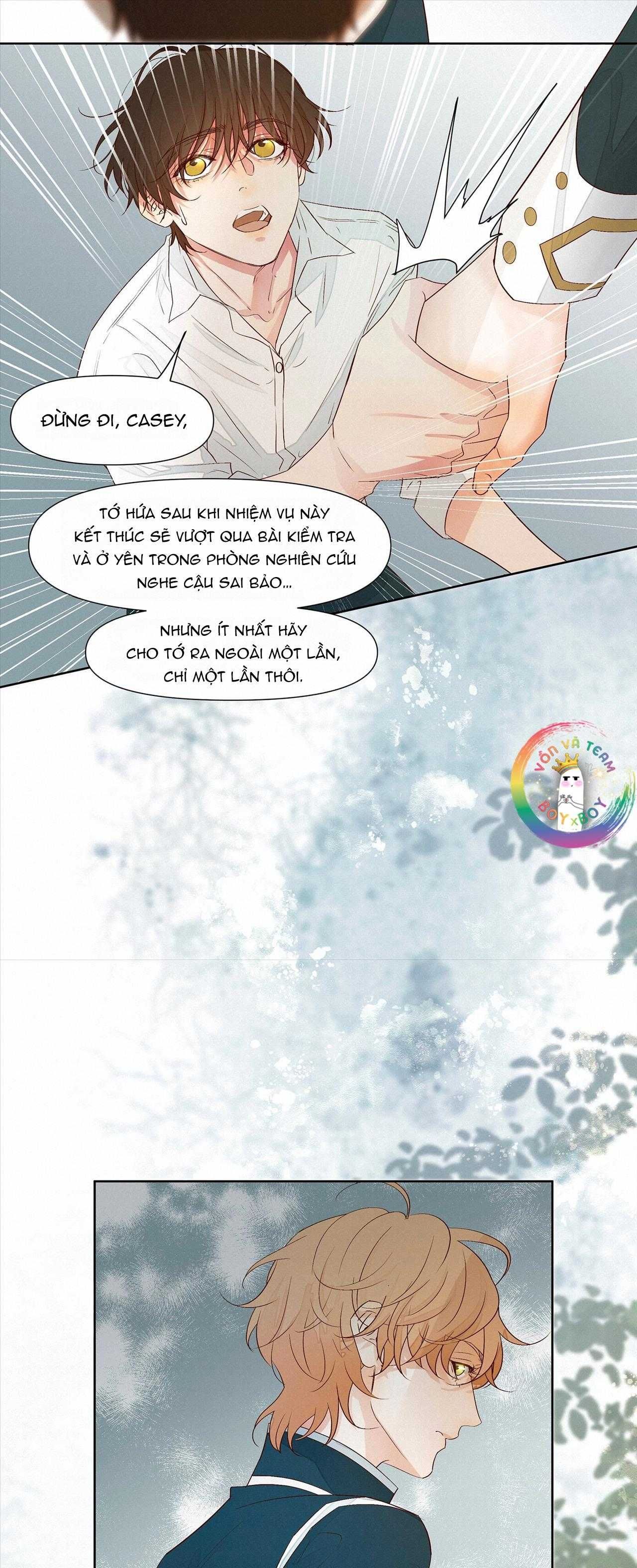 Trỗi Dậy Từ Tro Tàn - Chương 30 - Trang 11