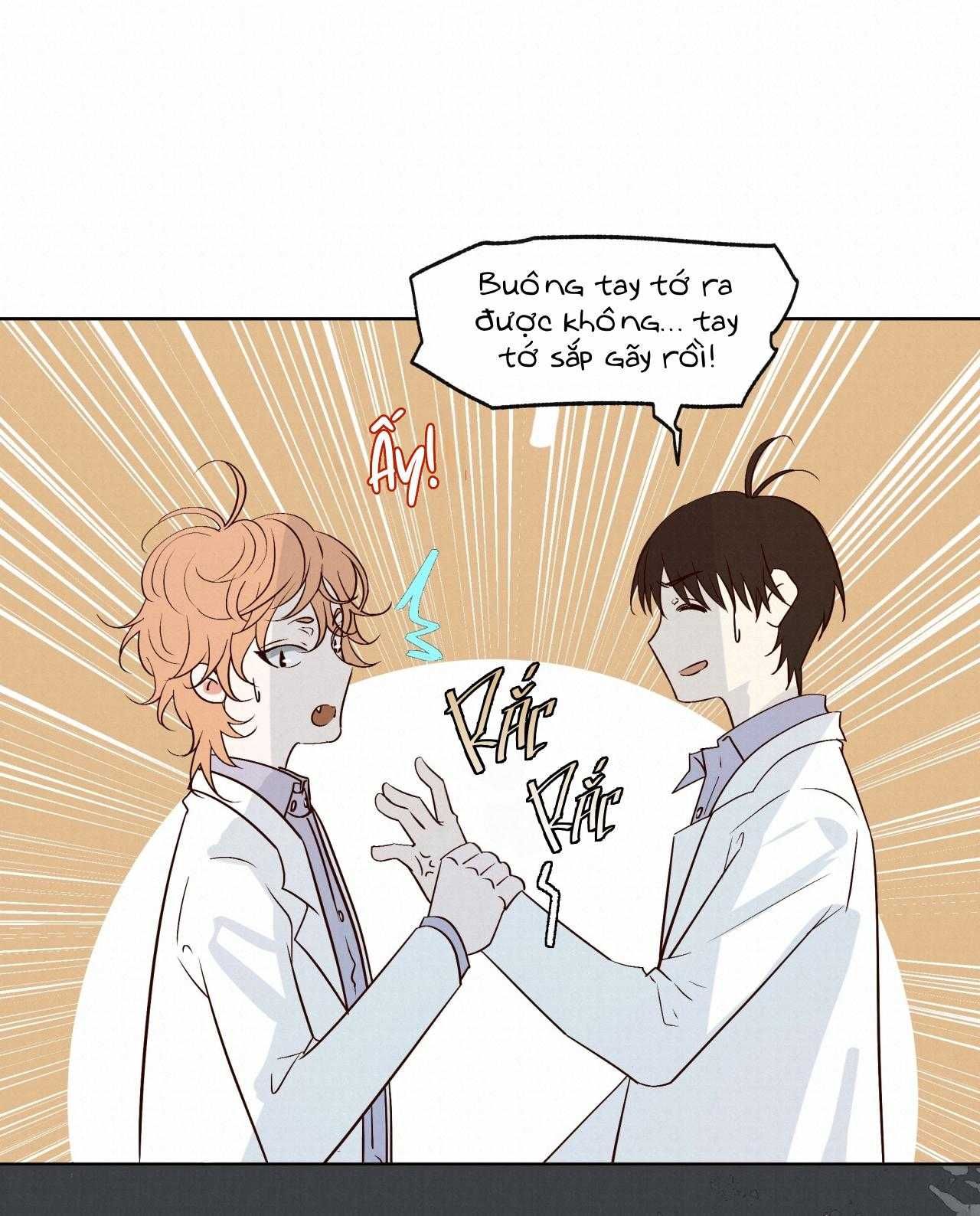 Trỗi Dậy Từ Tro Tàn - Chương 46 - Trang 7