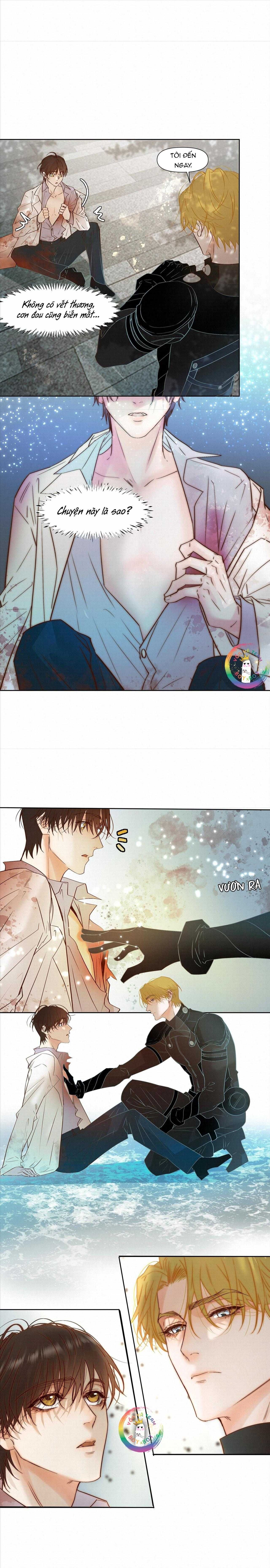 Trỗi Dậy Từ Tro Tàn - Chương 50 - Trang 15