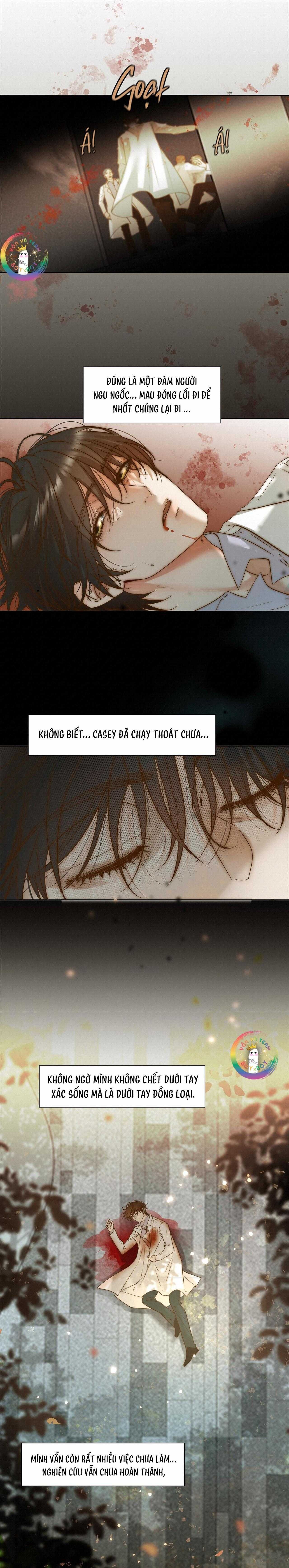 Trỗi Dậy Từ Tro Tàn - Chương 50 - Trang 5