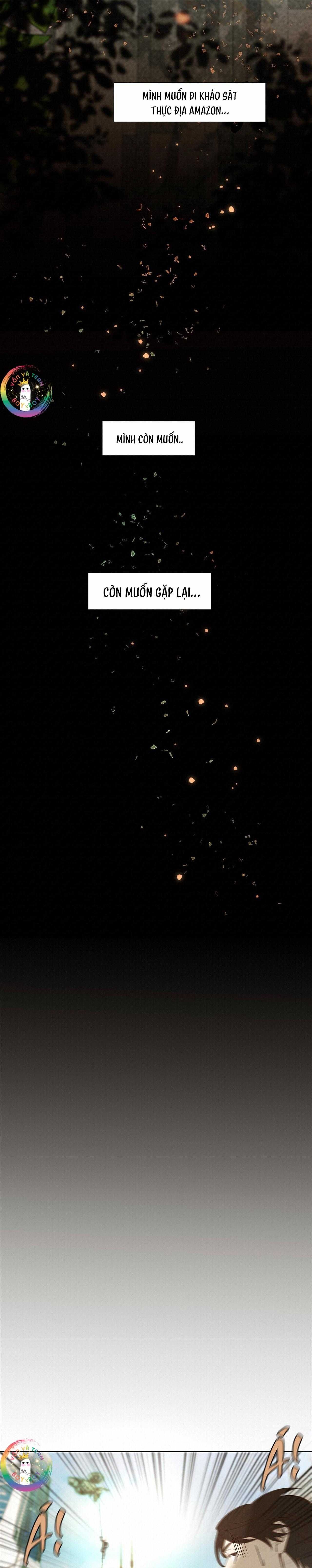 Trỗi Dậy Từ Tro Tàn - Chương 50 - Trang 6