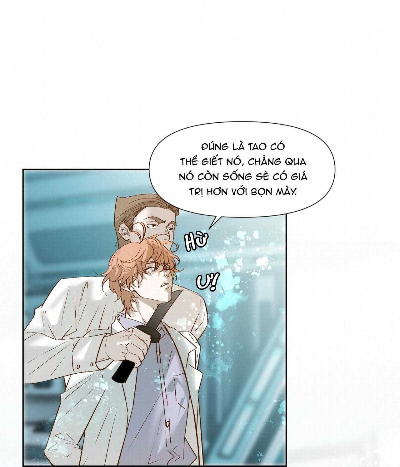 Trỗi Dậy Từ Tro Tàn - Chương 51 - Trang 11