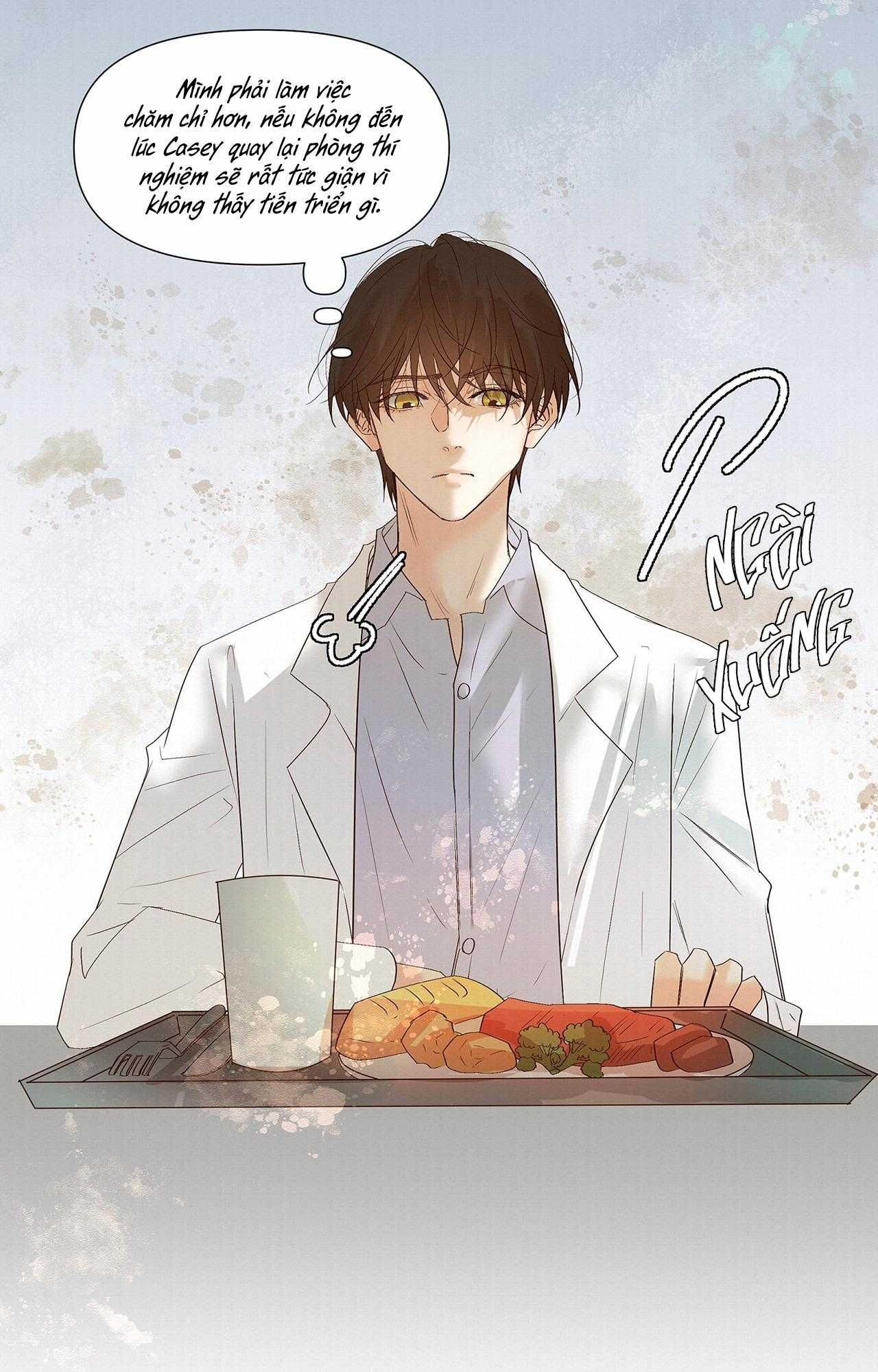 Trỗi Dậy Từ Tro Tàn - Chương 53 - Trang 32