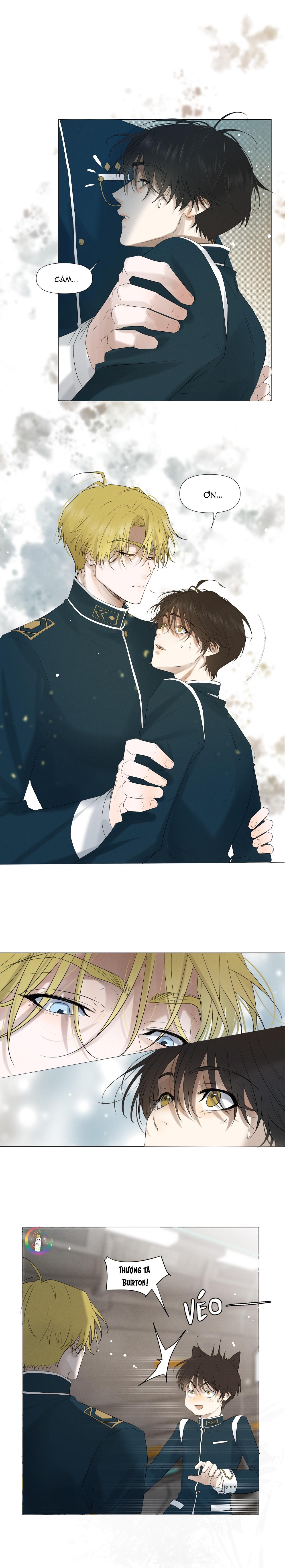 Trỗi Dậy Từ Tro Tàn - Chương 6 - Trang 13