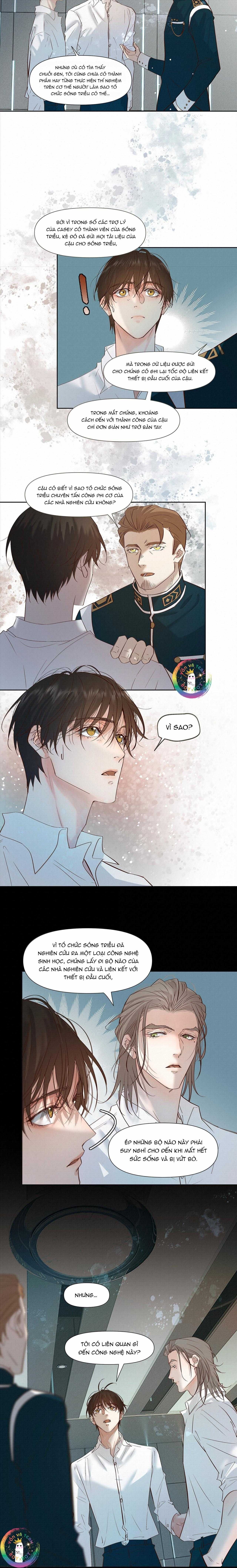 Trỗi Dậy Từ Tro Tàn - Chương 61 - Trang 12