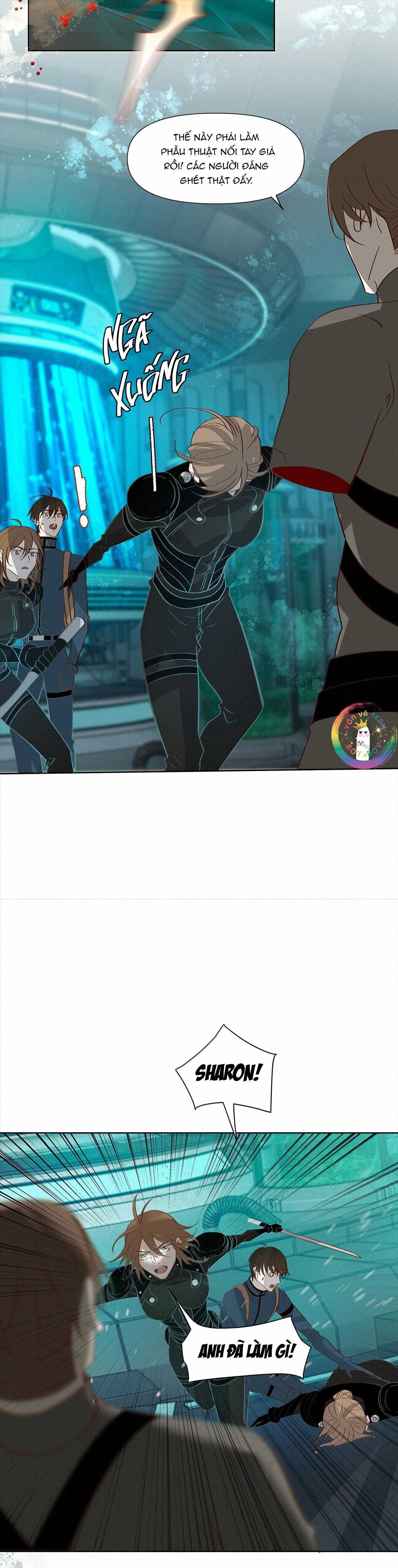 Trỗi Dậy Từ Tro Tàn - Chương 71 - Trang 15