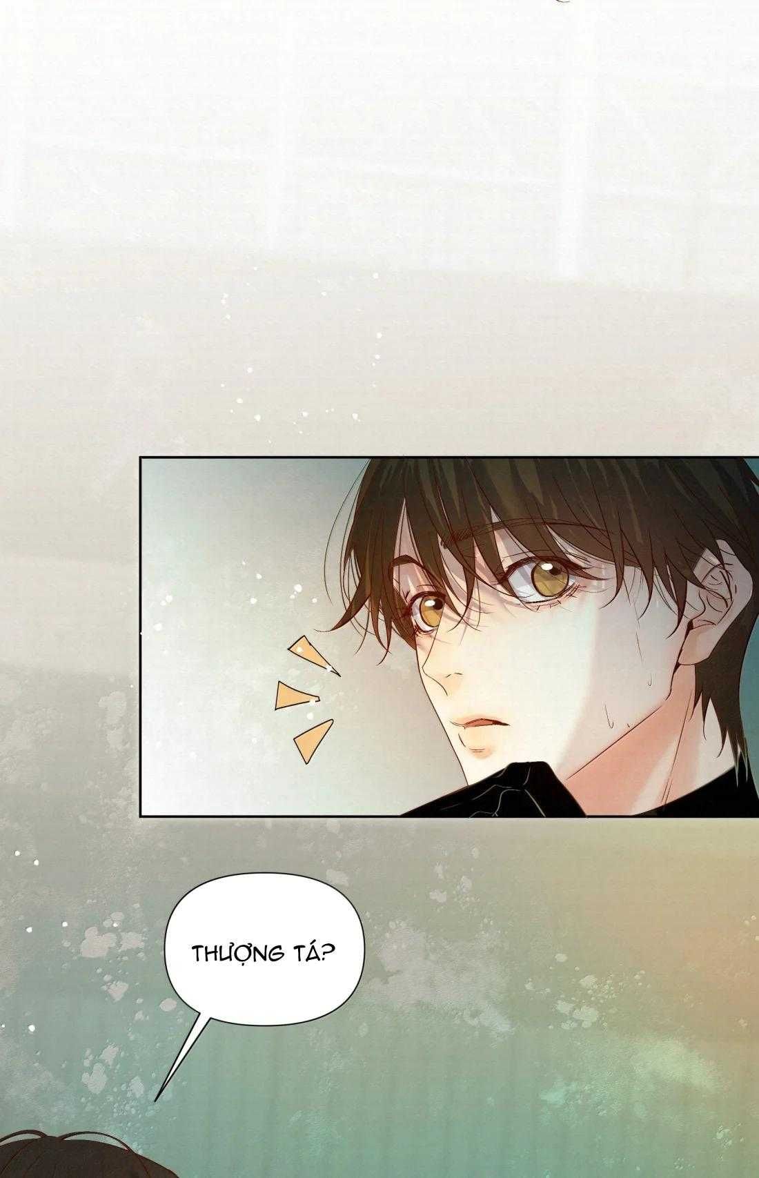 Trỗi Dậy Từ Tro Tàn - Chương 90 - Trang 10