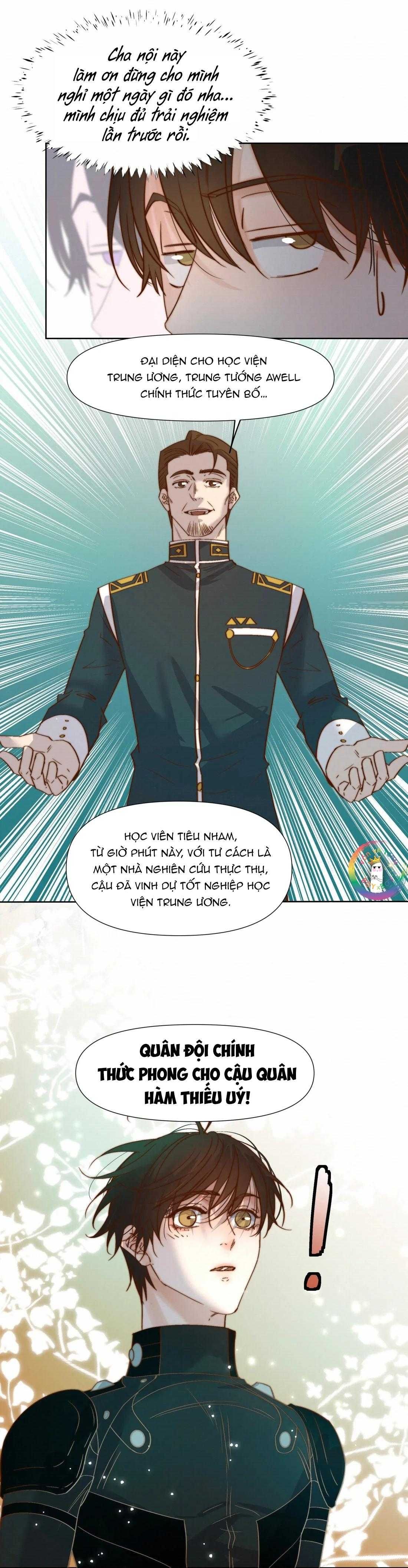 Trỗi Dậy Từ Tro Tàn - Chương 91 - Trang 13