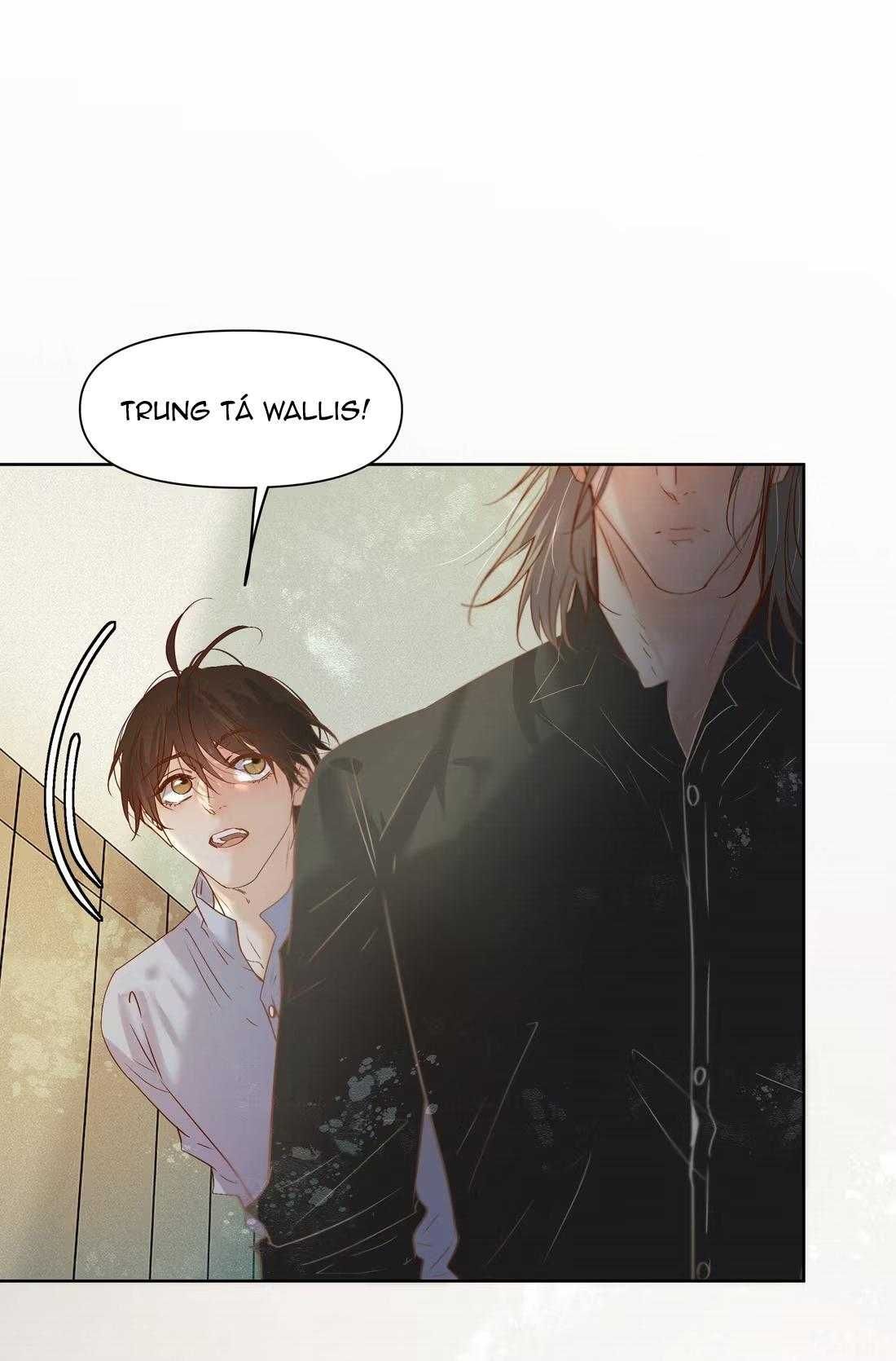 Trỗi Dậy Từ Tro Tàn - Chương 96 - Trang 11