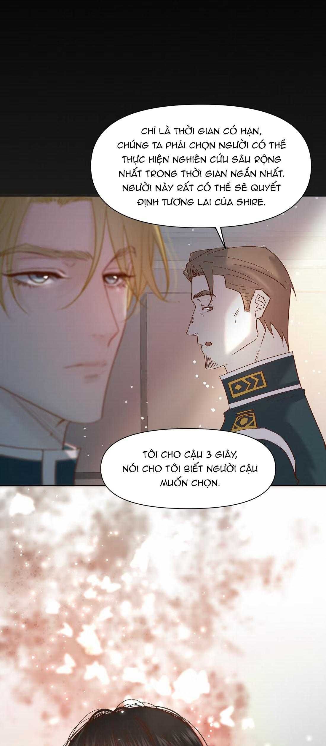 Trỗi Dậy Từ Tro Tàn - Chương 96 - Trang 41