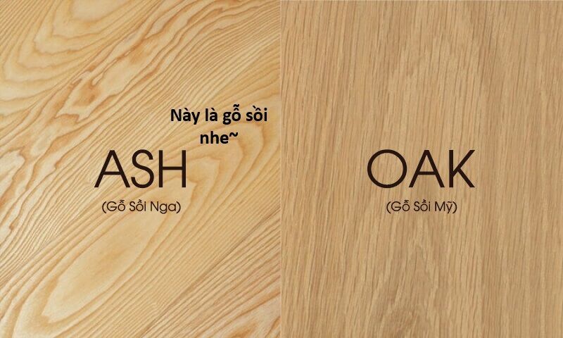 Ngay Cả Khi Hậu Tận Thế, Thật Hạnh Phúc Khi Vẫn Còn Được Sống... (Puchimasu Miếu) - Chương 44.1 - Trang 18