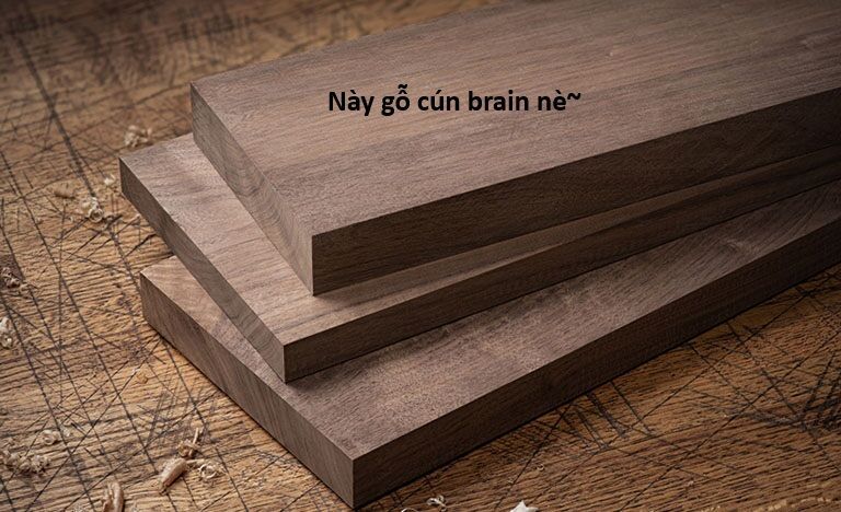 Ngay Cả Khi Hậu Tận Thế, Thật Hạnh Phúc Khi Vẫn Còn Được Sống... (Puchimasu Miếu) - Chương 44.1 - Trang 19