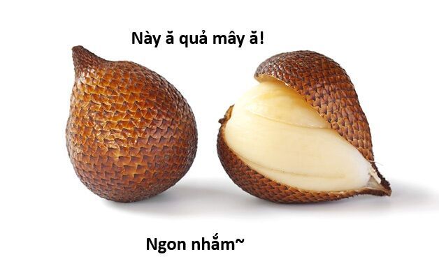 Ngay Cả Khi Hậu Tận Thế, Thật Hạnh Phúc Khi Vẫn Còn Được Sống... (Puchimasu Miếu) - Chương 44.1 - Trang 21