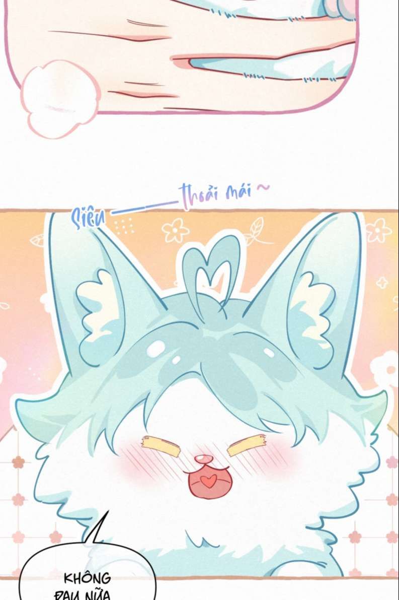 Hồ Ly Rắc Rối - Chương 11 - Trang 17