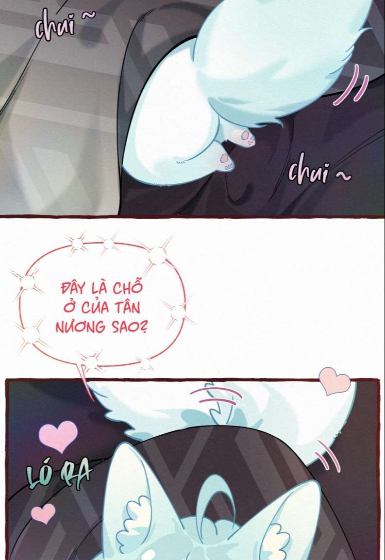 Hồ Ly Rắc Rối - Chương 11 - Trang 4