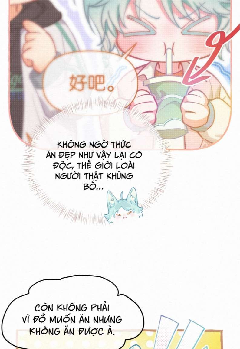 Hồ Ly Rắc Rối - Chương 11 - Trang 10