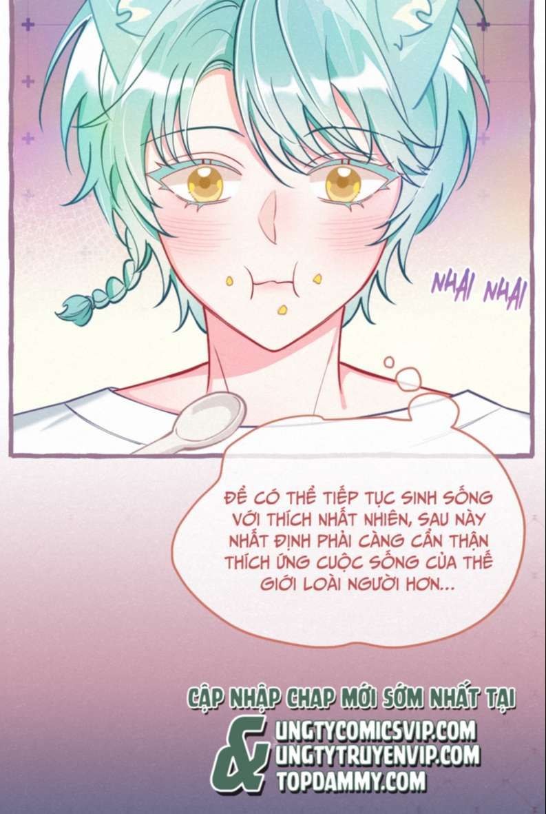 Hồ Ly Rắc Rối - Chương 12 - Trang 11