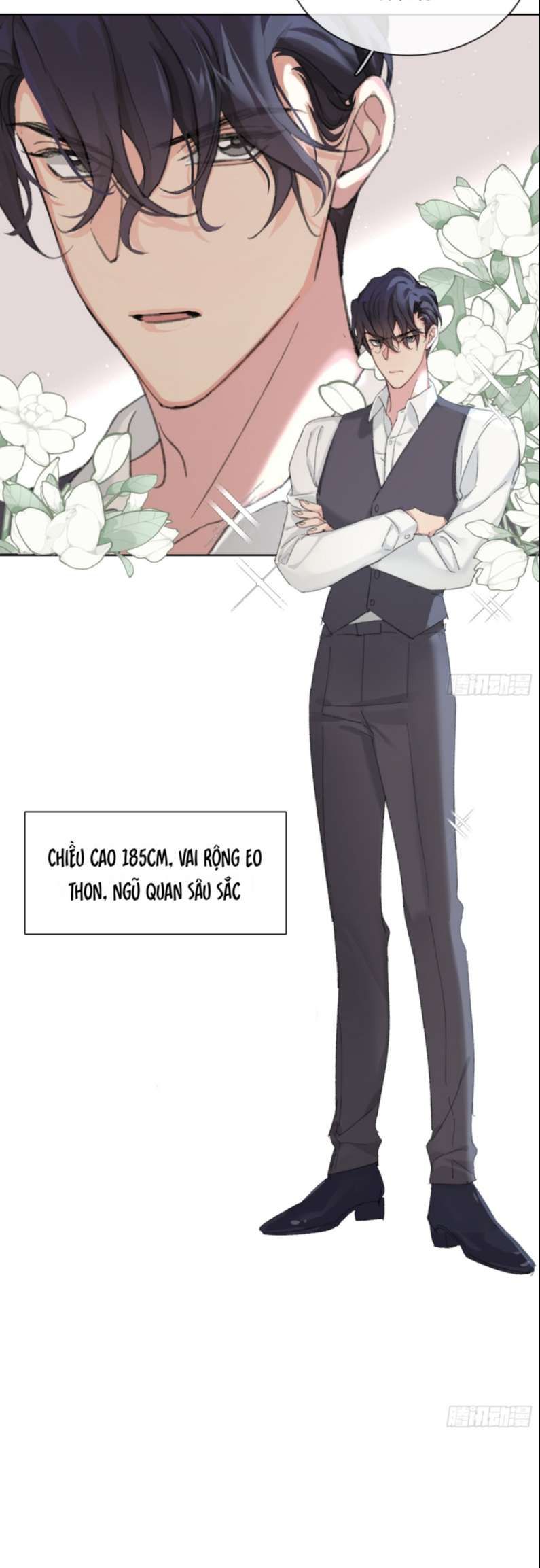 Sau Khi Xuyên Thành Pháo Hôi Tôi Chỉ Muốn Ly Hôn - Chương 1 - Trang 22