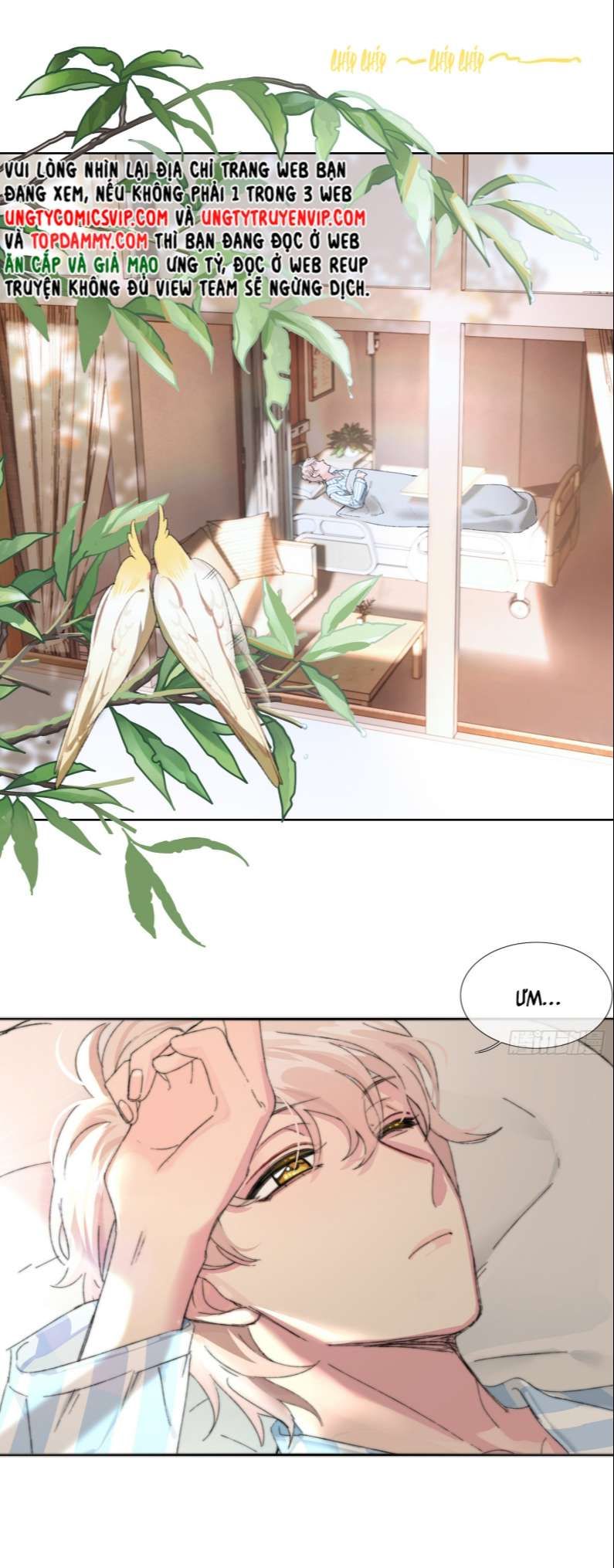 Sau Khi Xuyên Thành Pháo Hôi Tôi Chỉ Muốn Ly Hôn - Chương 1 - Trang 4