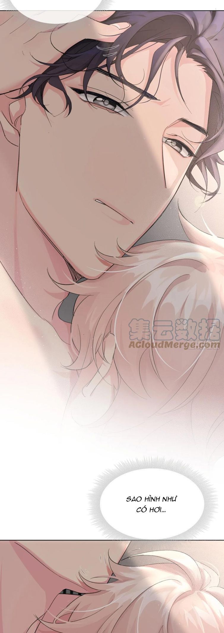 Sau Khi Xuyên Thành Pháo Hôi Tôi Chỉ Muốn Ly Hôn - Chương 11 - Trang 5