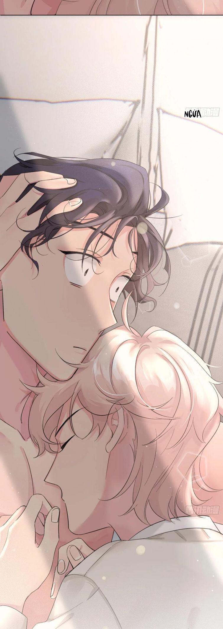 Sau Khi Xuyên Thành Pháo Hôi Tôi Chỉ Muốn Ly Hôn - Chương 11 - Trang 6