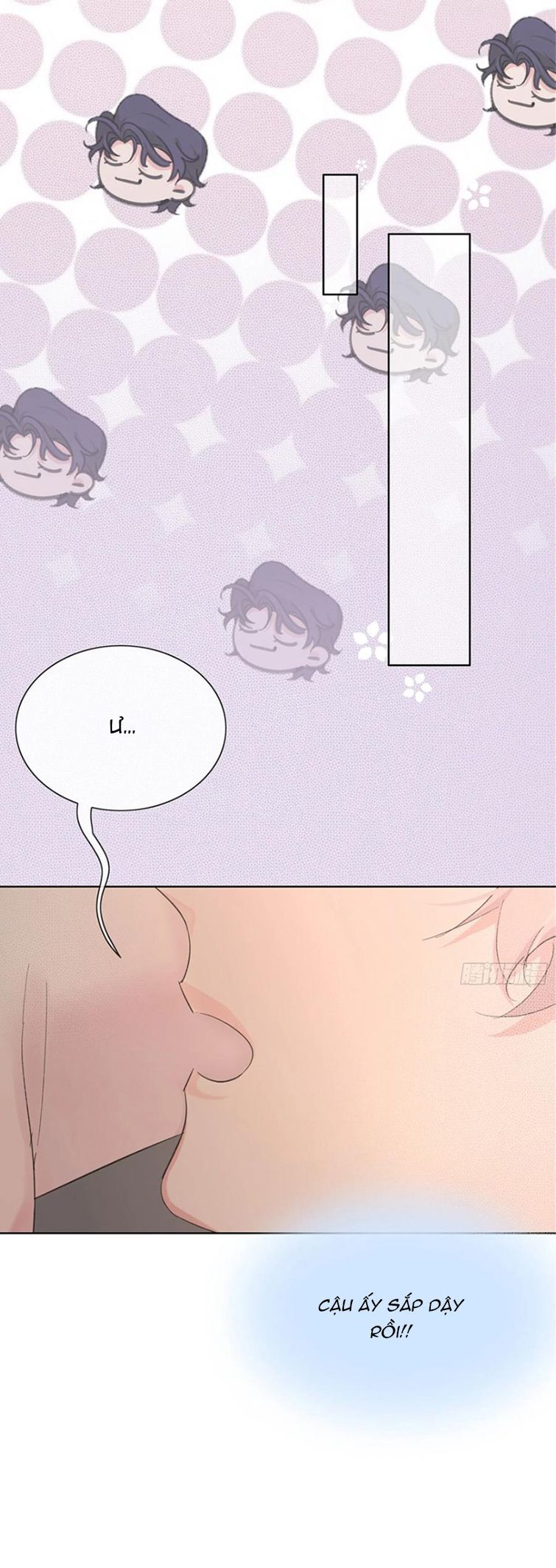 Sau Khi Xuyên Thành Pháo Hôi Tôi Chỉ Muốn Ly Hôn - Chương 11 - Trang 10