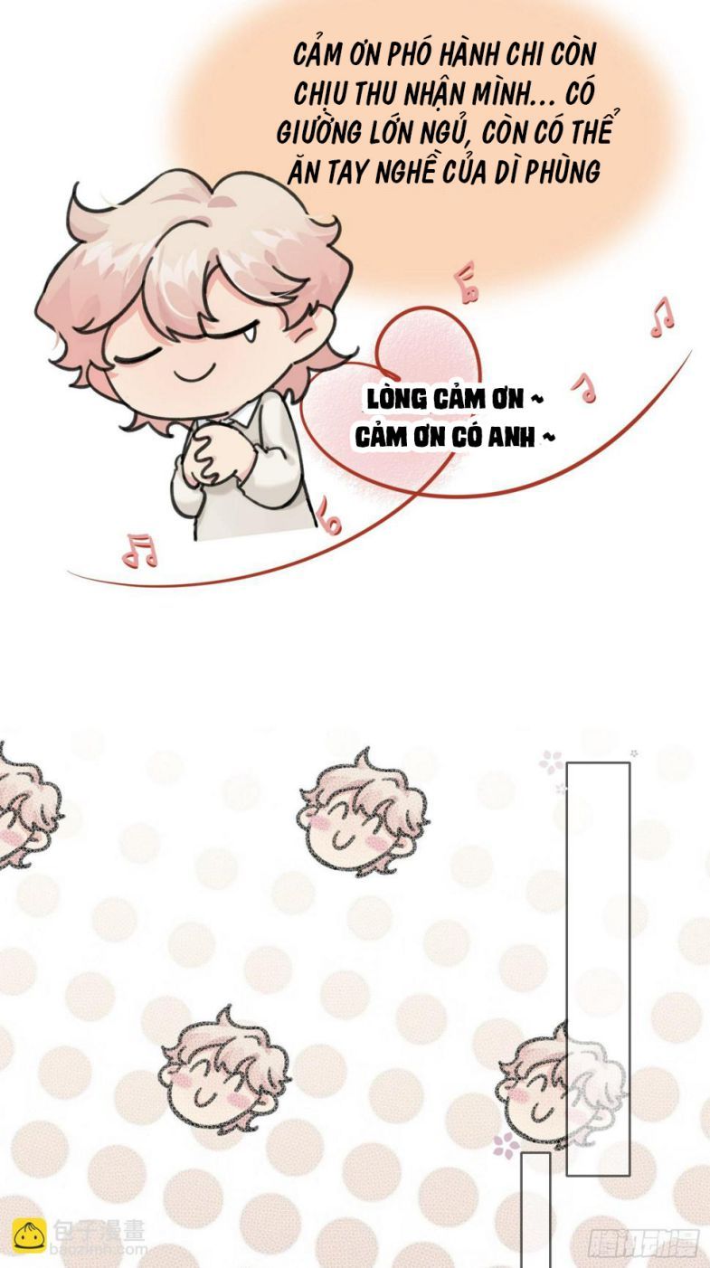 Sau Khi Xuyên Thành Pháo Hôi Tôi Chỉ Muốn Ly Hôn - Chương 13 - Trang 17