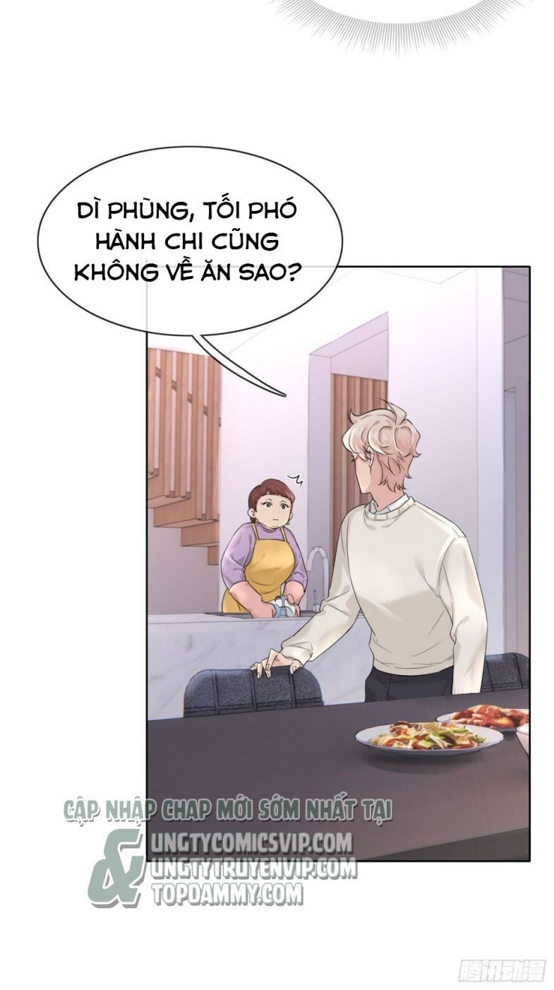 Sau Khi Xuyên Thành Pháo Hôi Tôi Chỉ Muốn Ly Hôn - Chương 13 - Trang 19